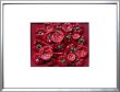 120 Rosenpaprika  40x30cm 150€.jpg
