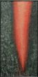 12.Lebenswurzel.jpg