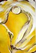 24.Austernperle-Acryl-Leinwand 80x100cm 300,-.JPG