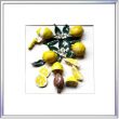 105 Zitronen 50x50cm 300€.jpg