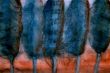 img6.jpg