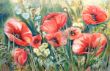 Frühlingswiese Acryl, 60x90  300,-.JPG