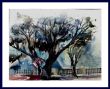 3 Baum in Blau 40x50.jpg