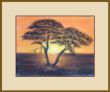 2 Afrika-Baum 55x75 m.R..jpg