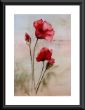 ,17 (Mohnblüten) ist 44x64.jpg