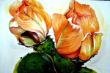 Kakteenblüten   Oel 38x45 150,-.JPG