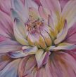 Dahlie lila_60x60_Acryl.JPG
