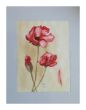 16 mohn 34x44 mit Rahmen.jpg