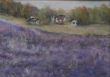 Lavendel003.jpg