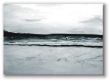 möwe 40x 60 cm.jpg