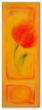 tulpe 30x90cm.jpg