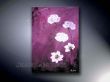 Viola 50x70cm EUR 60,00.jpg