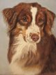 Timo Pastell 30x40 cm.jpg