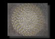Zirkel grau gold mit Silber weiß 120 x 100 cm 180 ¬.jpg