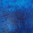 pferd-auf-blau.gif