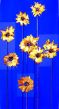 Gelbe Blüten auf blauen Grund, Acryl-Collage 30x60, 140,00.JPG