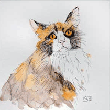 katze.gif