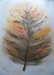 SAM_2845HerbstblattI.jpg