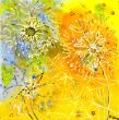 Pusteblume 40x40.150,-.jpg