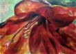 Svandrlik Heilwig - Blume 5 Amaryllis 30x50cm Acryl Leinwand 100,- Euro.jpg