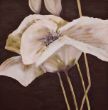 Diana Reitzner weiße Blume Acryl auf Leinwald 90x90cm 320,- €.jpg