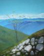 Anna Grauer Monte Baldo Öl auf Leinwand 80x100 400,-.jpg