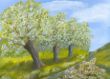 2009-Frühling.jpg